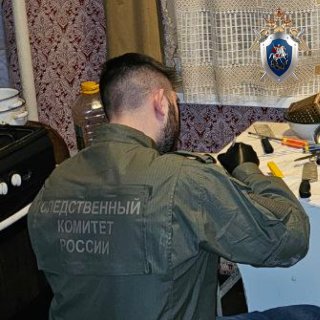 В городе Выксе Нижегородской области мужчина обвиняется в убийстве пенсионерки